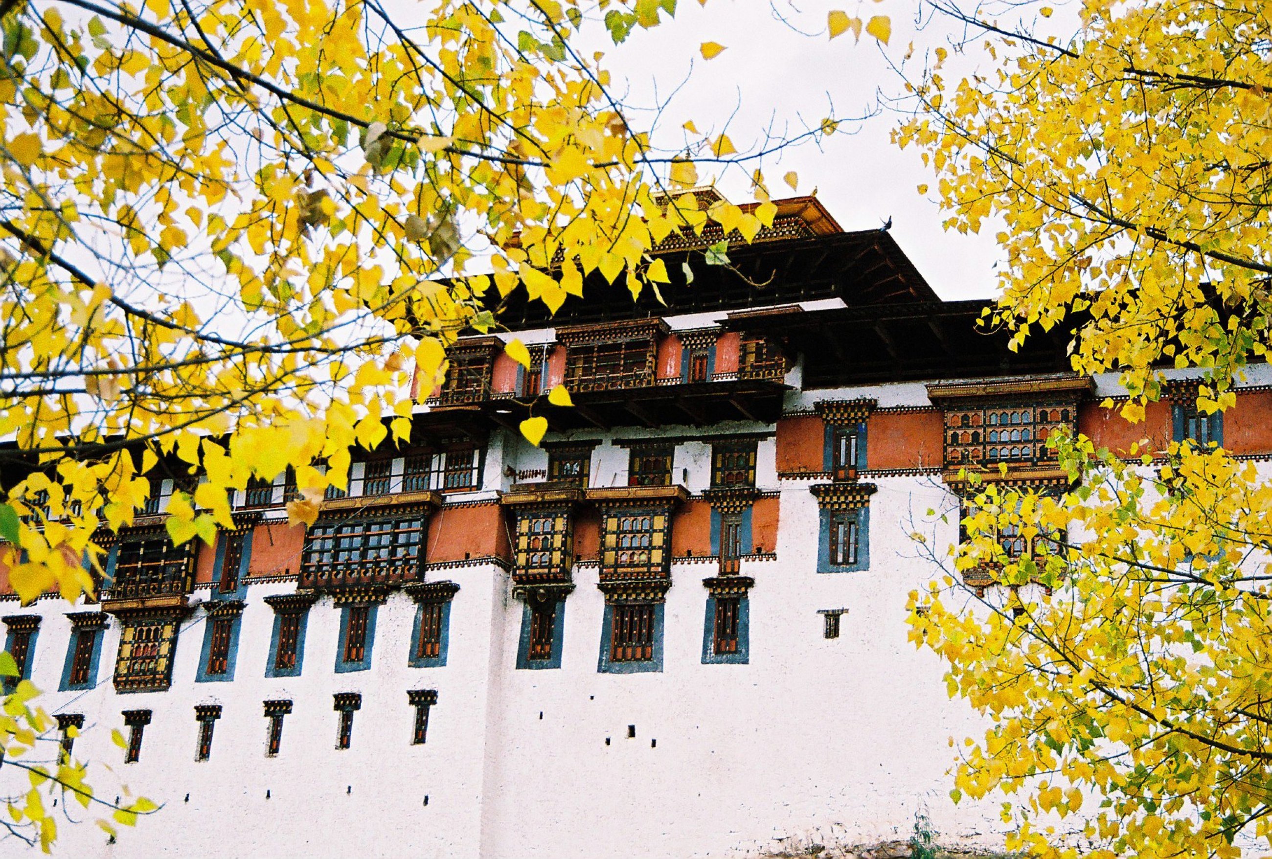 https://bubo.sk/uploads/galleries/7510/bhutan-a-dzong-na-jesen.jpg